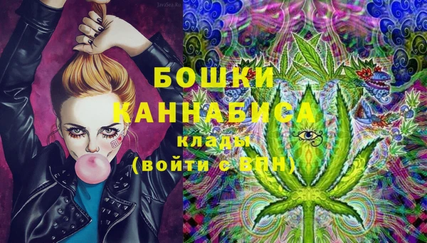 дмт Верея