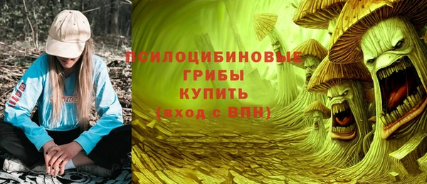 дмт Верея