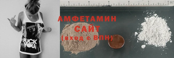 гидра Бородино