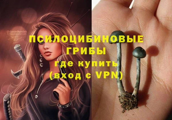 мдпв Верхнеуральск