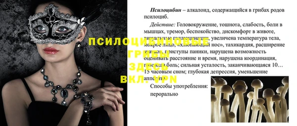 крисы Володарск