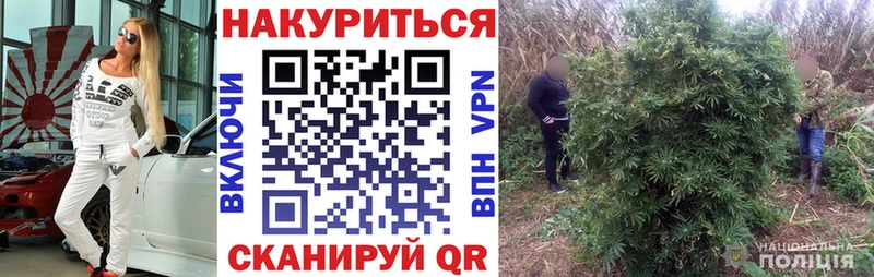 Канабис White Widow дарнет шоп Вихоревка